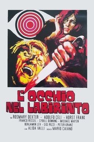 Eye in the Labyrinth