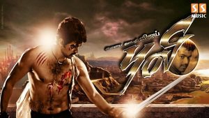Puli