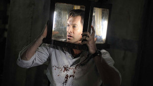 Saw V