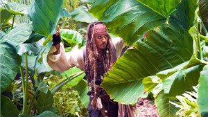 Pirates of the Caribbean: On Stranger Tides