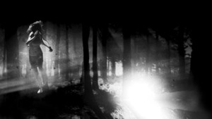And Soon the Darkness