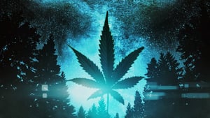 Star Leaf