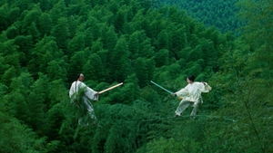 Crouching Tiger, Hidden Dragon