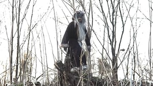 Krampus: The Christmas Devil