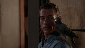 Hard Target