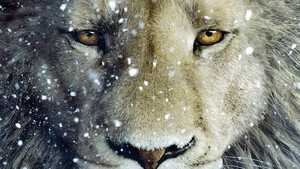 The Chronicles of Narnia: The Voyage of the Dawn Treader